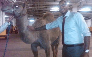 carmelo camel